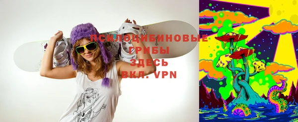 эйфоретик Алексин